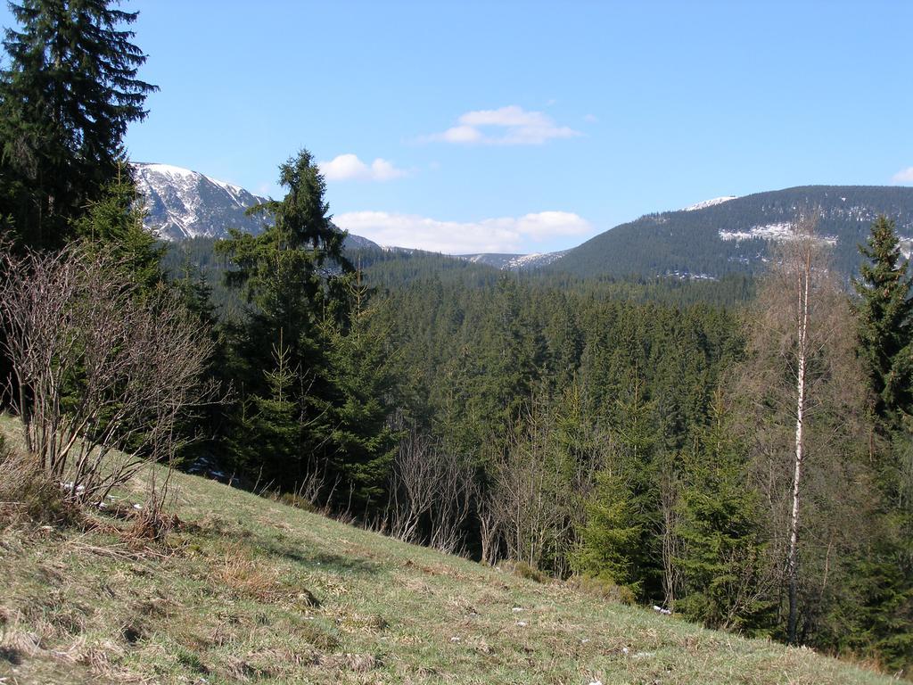 Pecka Penzion Pec pod Snezkou Bagian luar foto